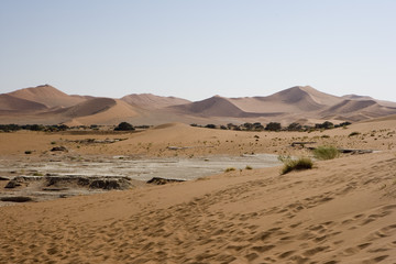 Wall Mural - African Desert