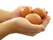 Human hands holding hen eggs isolated over white