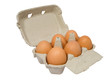 Half dozen fresh eggs in box