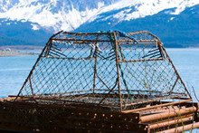 Metal Lobster Cage