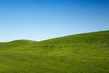 Green Grass Hills And Blue Sky