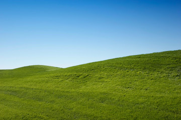 Green grass hills and blue sky