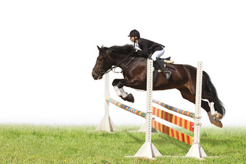 Canvas Print - show jumping