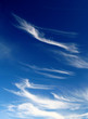 © Thierry Maffeis - cirrus clouds