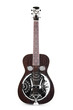 acoustic/electric guitar dobro style