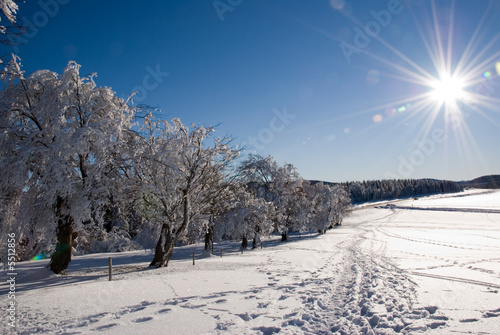 Foto-Fahne - verschneite Winterlandschaft (von Tobias Marx)