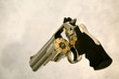 canvas print picture - magnum revolver loaded with seven shots