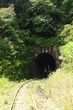 tunnel sous vegetation verdoyante, ligne fce, madagascar