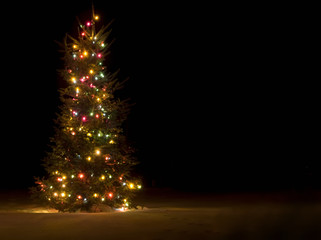 christmas tree