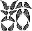Seven Sets of Angel Wings