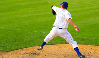 Wall Mural - Professional baseball pitcher throwing the ball