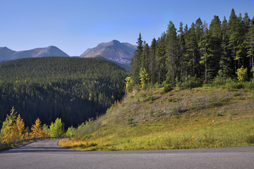 Wall Mural -  Picturesque road and trees with yellow and green foliage 