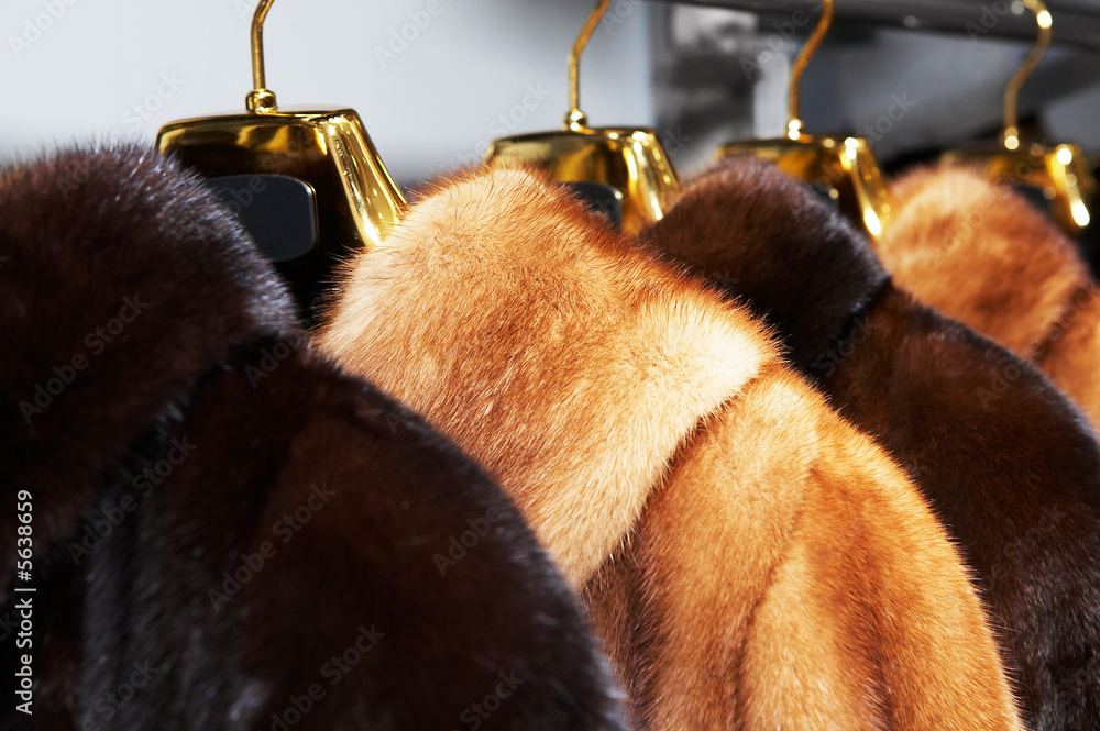 Rich female fur coats on sale in shop - obrazy, fototapety, plakaty 
