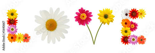 Word "love" composed of fresh daisies.