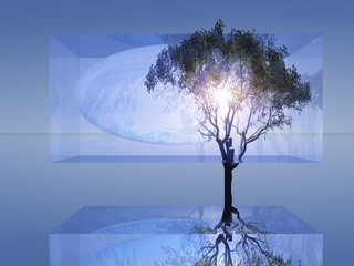 Abstract Eucalyptus Tree in Glass