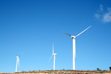 Fototapeta  - eolic generators in a wind farm