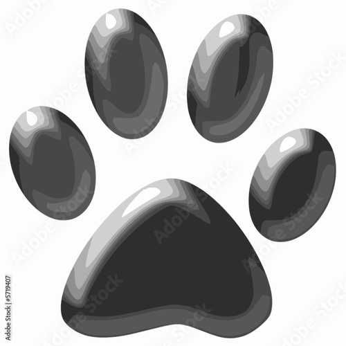 Empreinte Chat Gris Stock Vector Adobe Stock