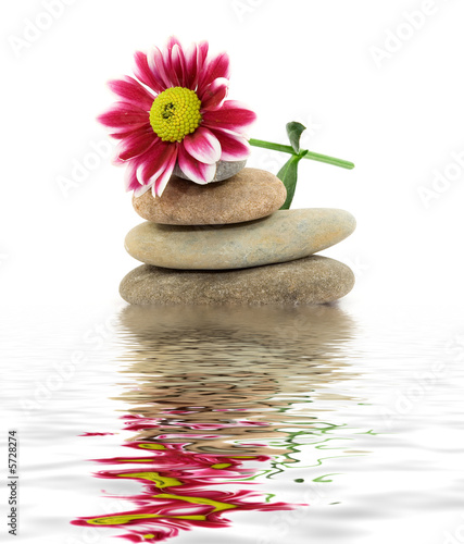 Alu-Spannrahmen - zen spa stones with flowers (von dinostock)