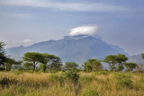 Fototapeta Sawanna - Kenya : parc Tsavos : épineux, montagne et nuage