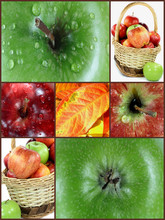 Photo Collage Fall Apples.