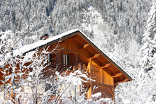 Alpine Cabin