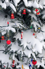 Wall Mural - Christmas ornaments handing on snow covered spruce tree outside