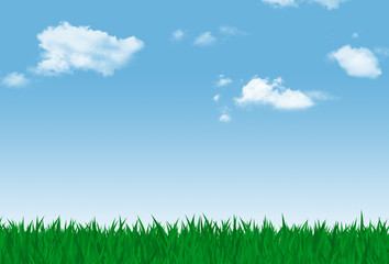 grass field