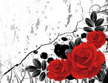 Vector Illustration - Grunge Roses