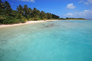 Lush coast, Maldives