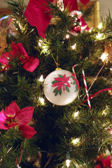 White Ornament on Tree