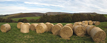 Farm In Peak District. England
