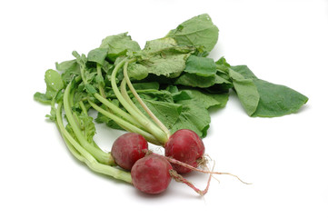 Wall Mural - Bunch of radishes in isolated white background