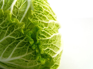 bok choy isolated on white background