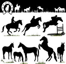 Vector Horse Silhouettes Collection - Illustration Set - Horse With Jockey, Race, Jumping