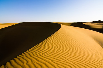 Wall Mural - Sand dunes under a clear sky - Thar desert, Rajasthan India