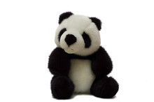 Panda Bear Two