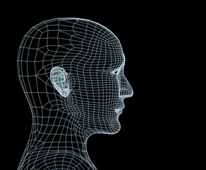 Wall Mural - Head of the person from a blue 3d grid