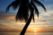 Tropischer Sonnenuntergang Fotografiert In Holetown, Barbados