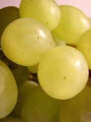 White grapes