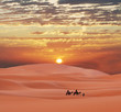 Leinwandbild Motiv Caravan in Sahara desert