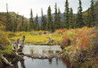 Panorama Alaska in fall time