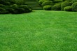 lawn and garden
