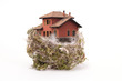 Bird's nest withe the house on white