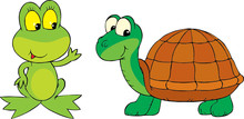 Frog And Turtle