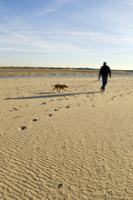 Walking The Dog At The Beach