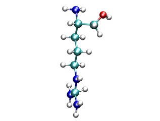 Arginine