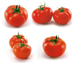 Fototapeta Kuchnia - Tomatoes - isolated