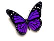 3D purple butterfly