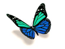 3D Turquoise And Blue Butterfly