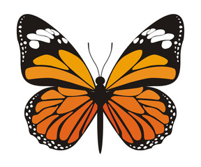 Vector image of orange butterfly